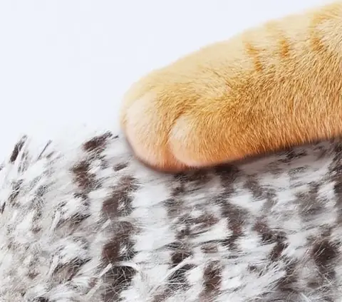 Pata de gato na pelúcia macia e listrada da Corujinha