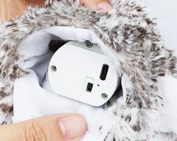 Entrada USB-C da bateria recarregável da Corujinha